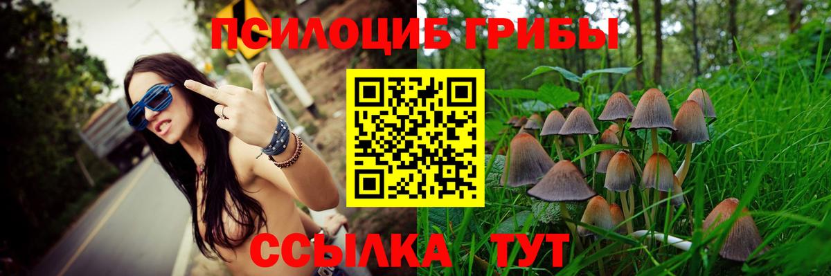 Псилоцибиновые грибы ЛСД  Вход с VPN  Псилоцибиновые грибы MAGIC MUSHROOMS  Азнакаево 